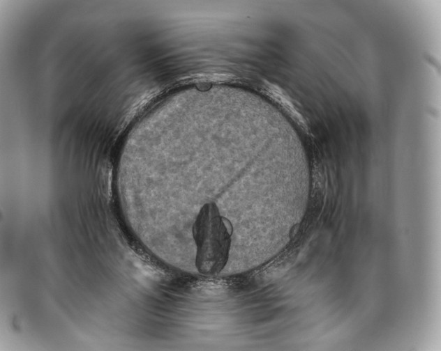 X0000096400110200802141527