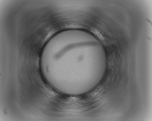 X0000096400111200802141527