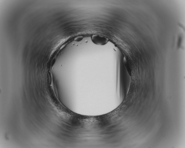 X0000096400112200802141527