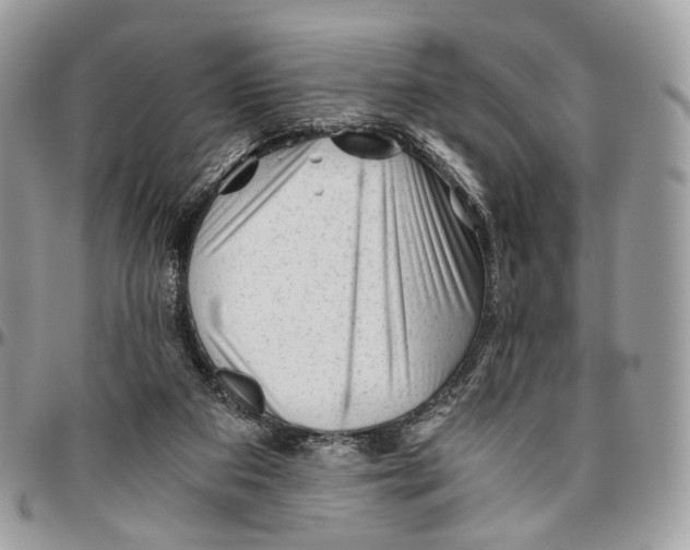 X0000096400113200802141527