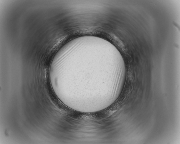 X0000096400115200802141527