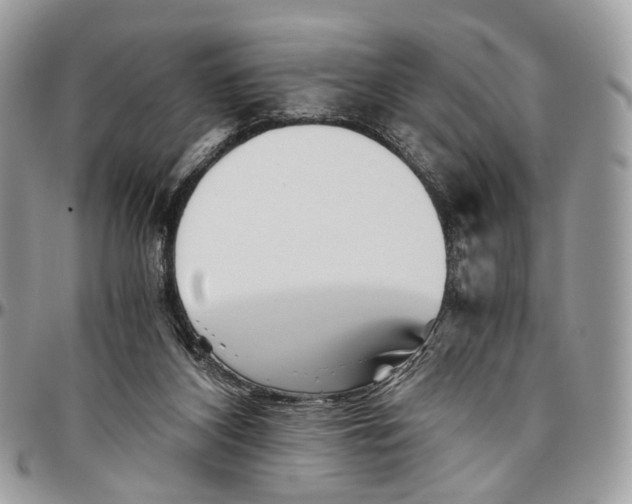 X0000096400116200802141527