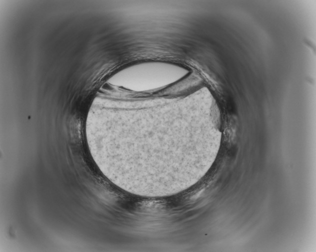 X0000096400117200802141527