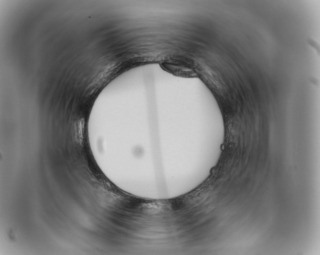 X0000096400118200802141527