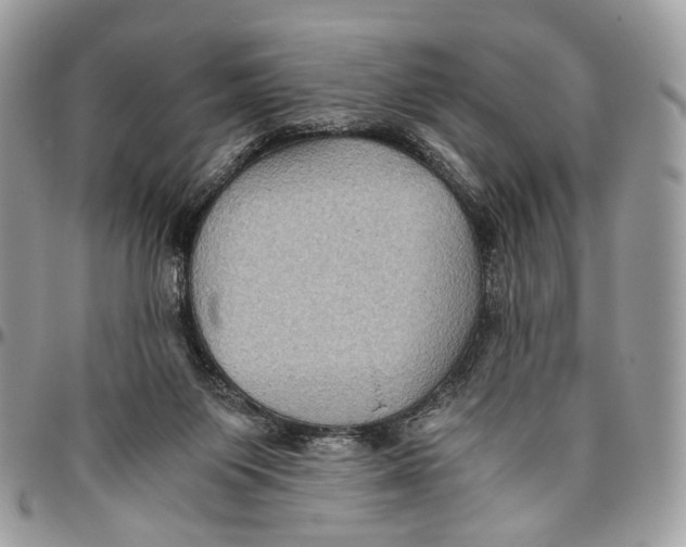 X0000096400119200802141527