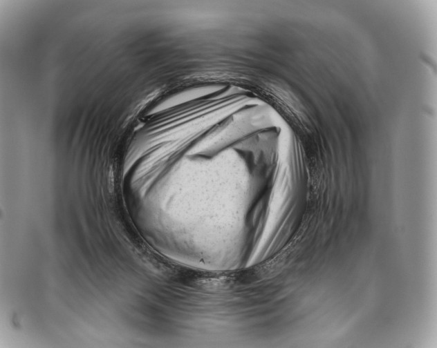 X0000096400120200802141527