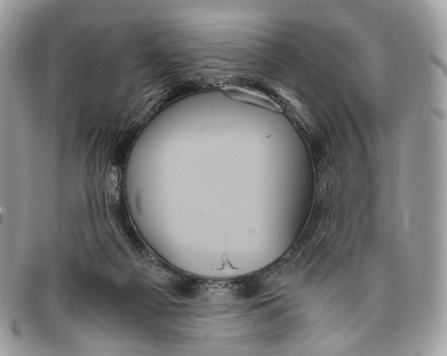 X0000096400121200802141527