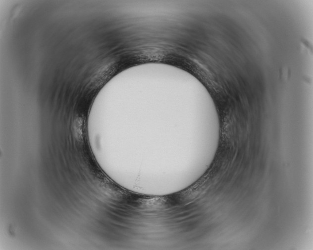 X0000096400122200802141527