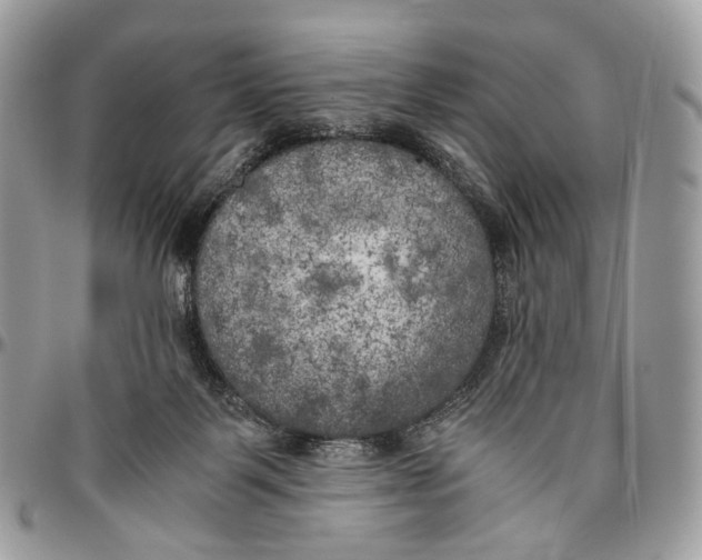 X0000096400123200802141527