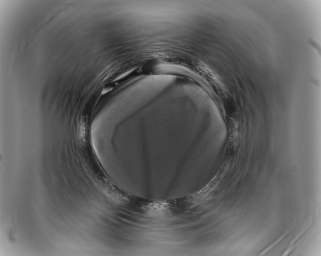 X0000096400124200802141527