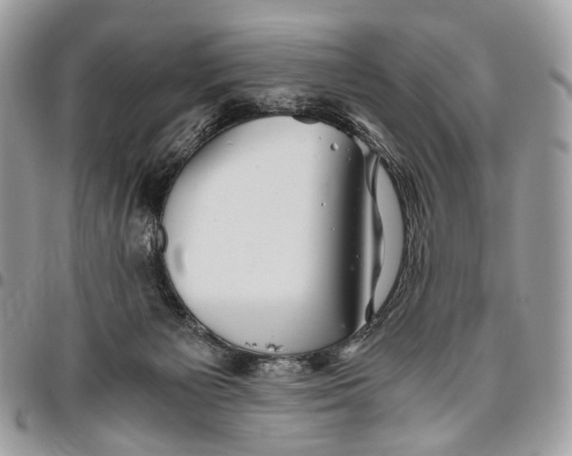 X0000096400125200802141527