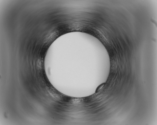 X0000096400126200802141527