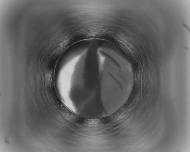 X0000096400127200802141527