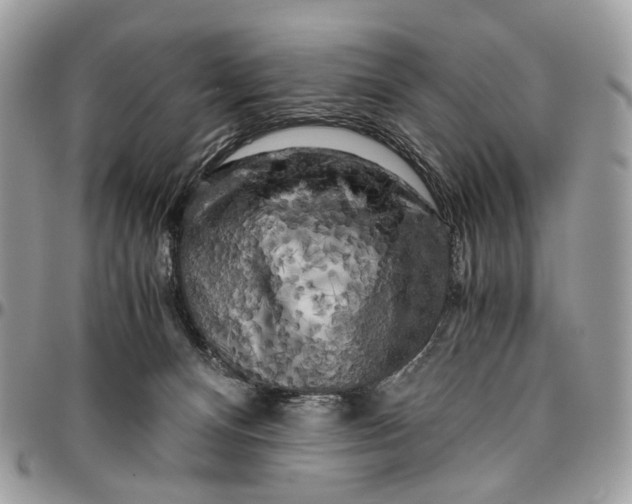 X0000096400128200802141527