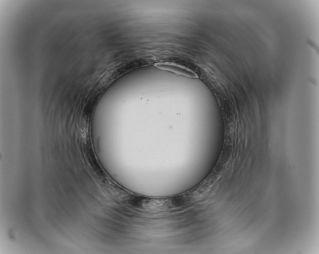 X0000096400129200802141527