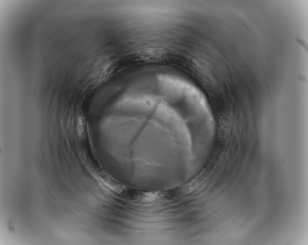 X0000096400130200802141527