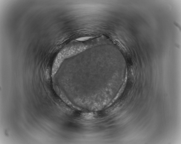 X0000096400131200802141527