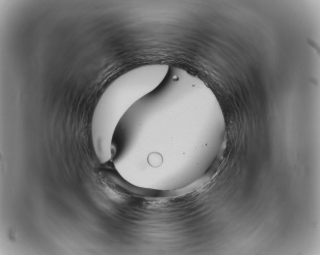 X0000096400132200802141527