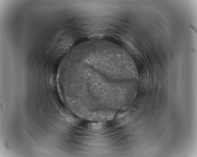 X0000096400134200802141527