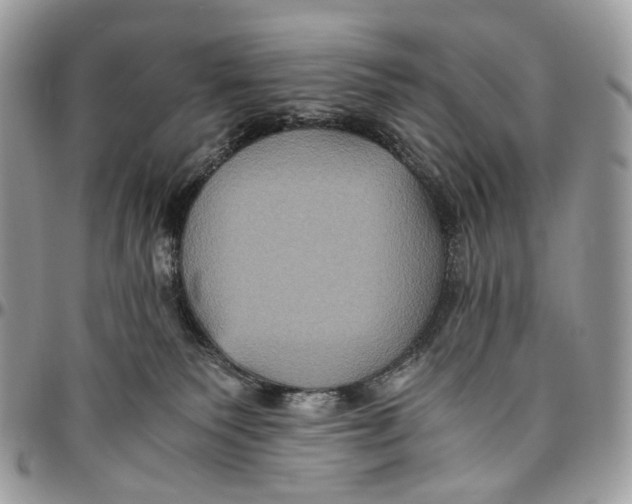 X0000096400135200802141527