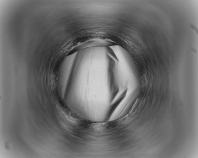 X0000096400136200802141527