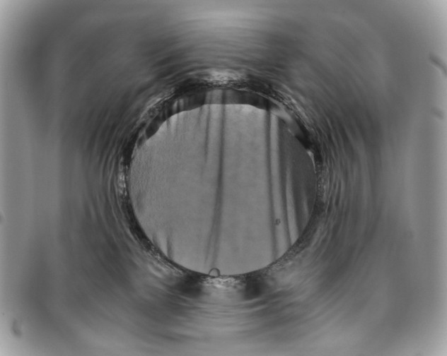 X0000096400137200802141527