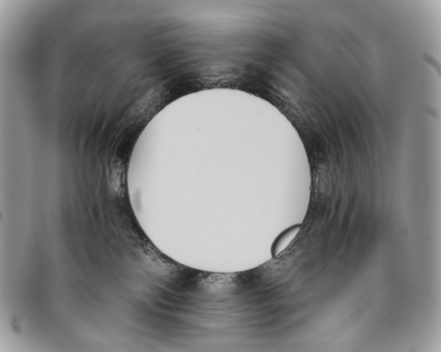 X0000096400138200802141527