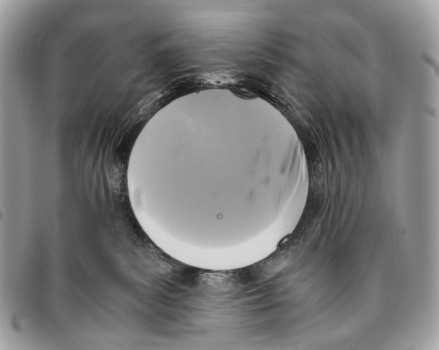 X0000096400139200802141527