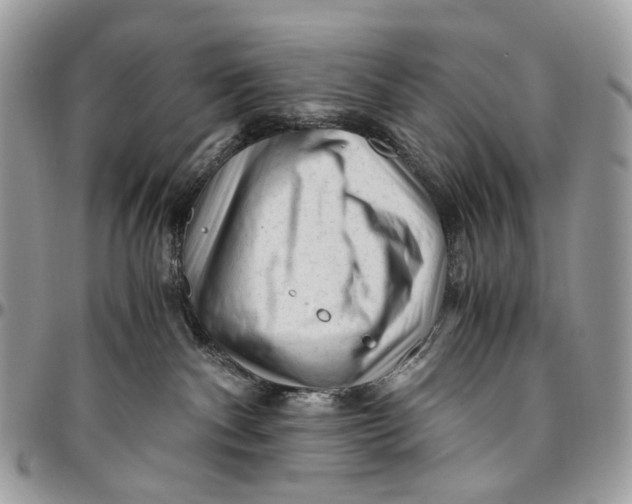 X0000096400140200802141527