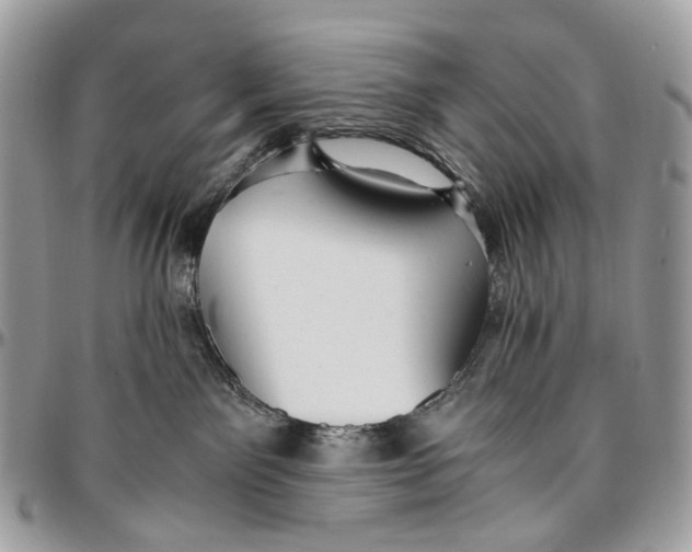 X0000096400141200802141527