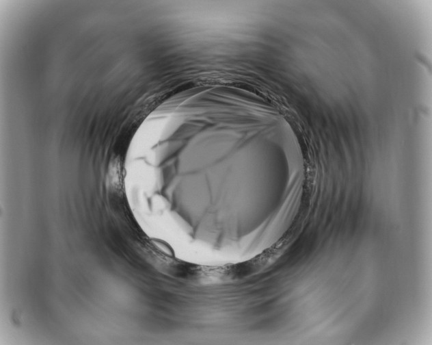 X0000096400143200802141527