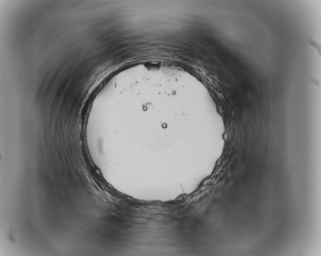 X0000096400146200802141526