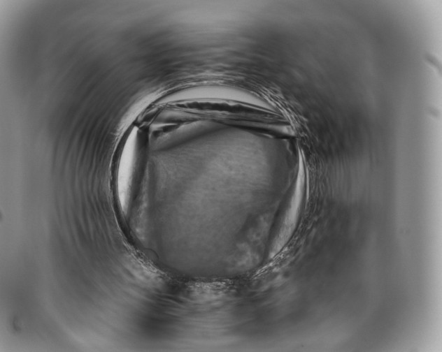 X0000096400147200802141526