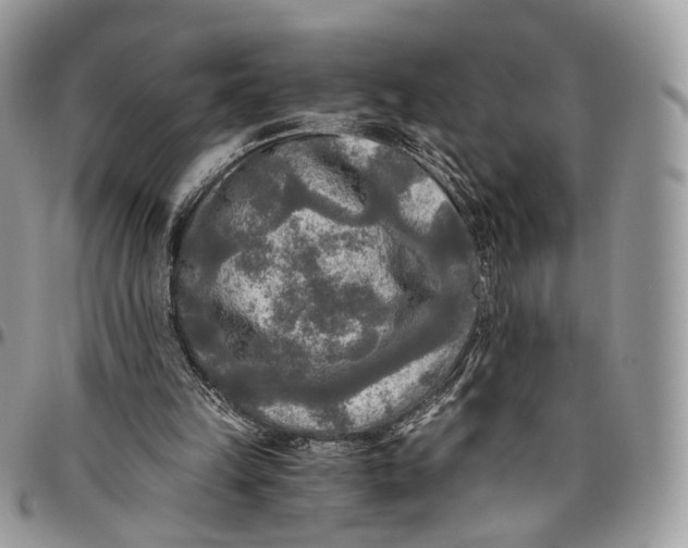 X0000096400149200802141526