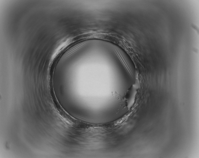 X0000096400150200802141526