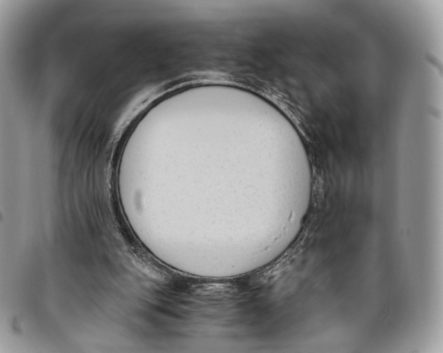 X0000096400151200802141526