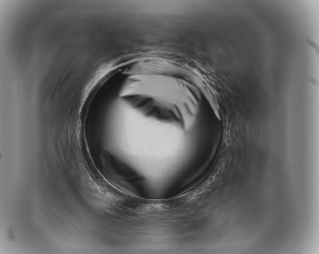 X0000096400152200802141526