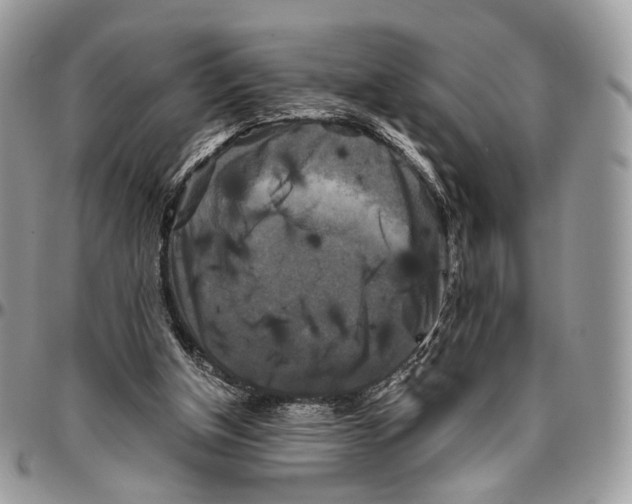 X0000096400154200802141526