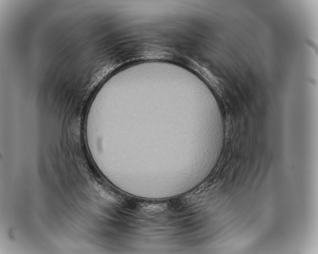 X0000096400155200802141526