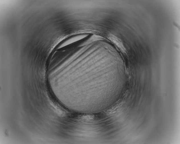 X0000096400156200802141526