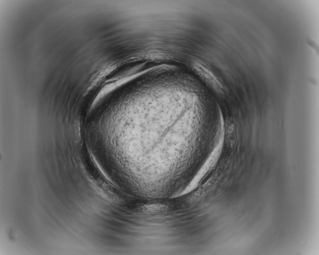 X0000096400158200802141526