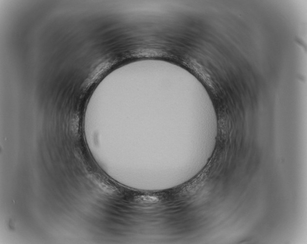 X0000096400159200802141526