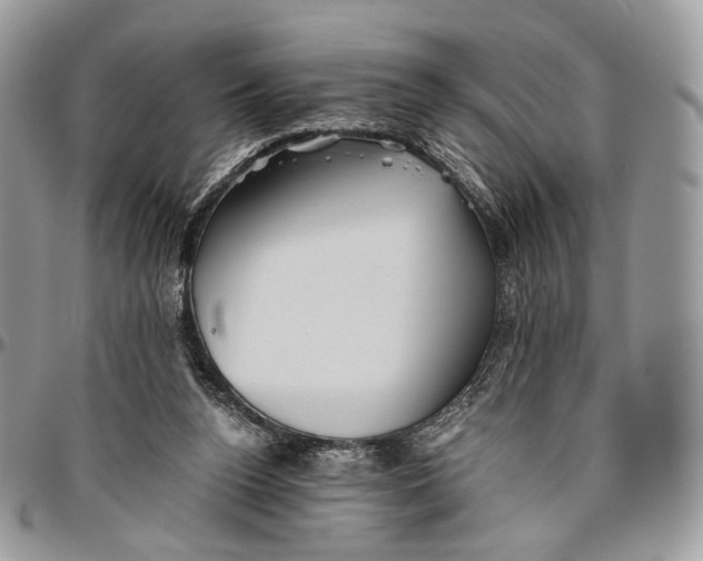 X0000096400160200802141526