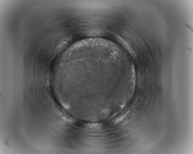 X0000096400161200802141526