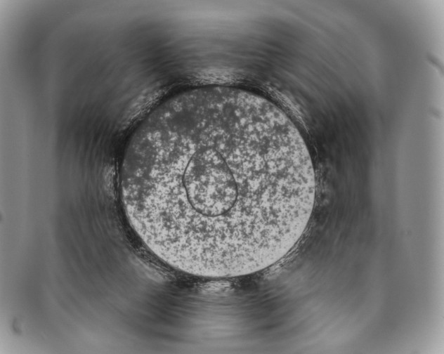 X0000096400162200802141526