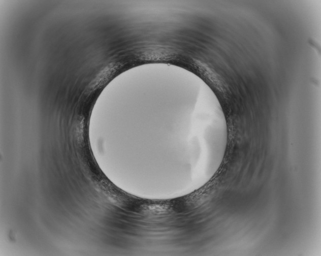 X0000096400163200802141526