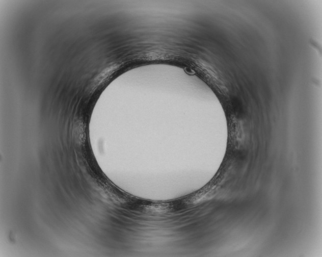 X0000096400164200802141526