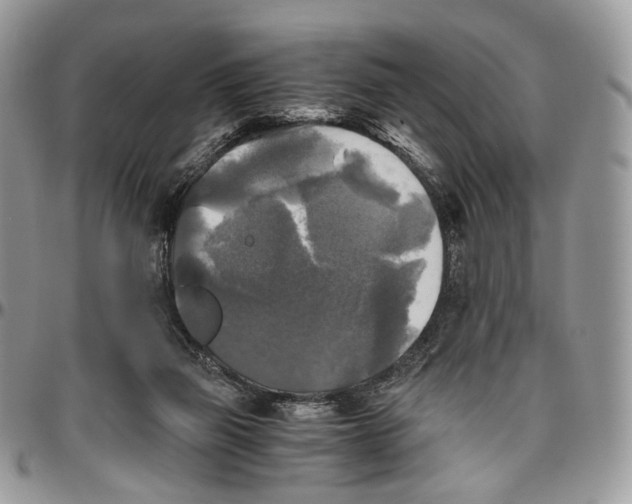 X0000096400165200802141526