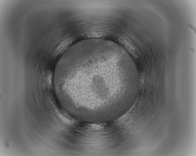 X0000096400166200802141526