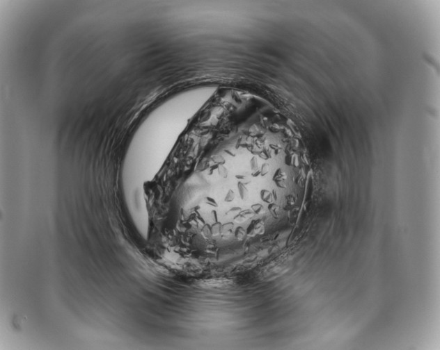 X0000096400168200802141526